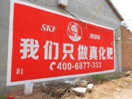 西双版纳刷墙广告”蕴含了时代命题