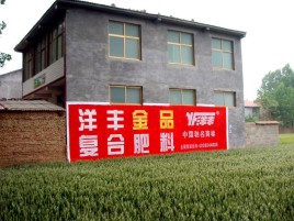 西双版纳如何让墙体广告展现最大化效果