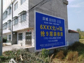 西双版纳墙体广告质量分析