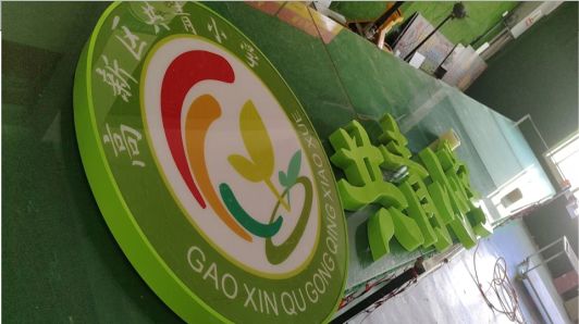 西双版纳常见的发光字类型