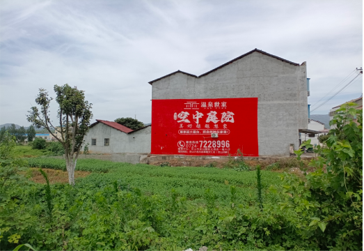西双版纳做墙体广告的意义