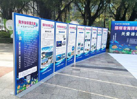 西双版纳KT板的种类和知识。